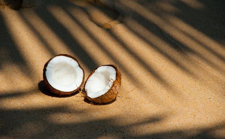 Cocco (Pexels)