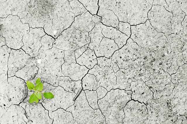 Oroscopo: la vostra vita sta per cambiare, adesso!