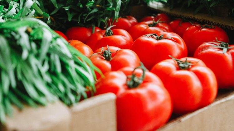 Pomodori: elimina i pesticidi (Pexels)