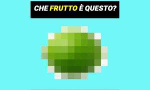test visivo frutta