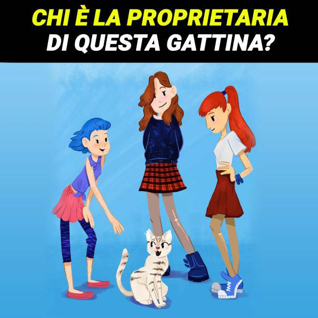 rompicapo gatto