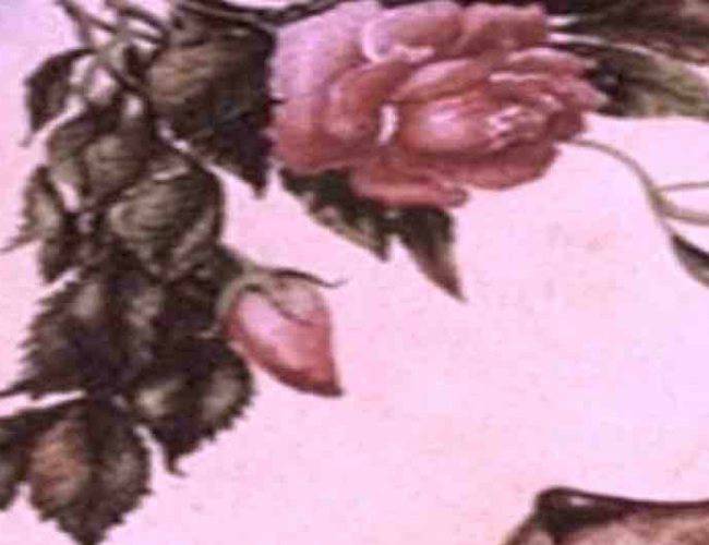test cosa vedi personalità