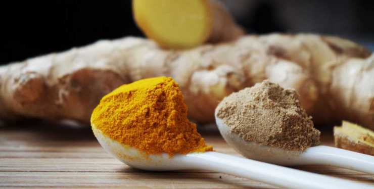 Curcuma