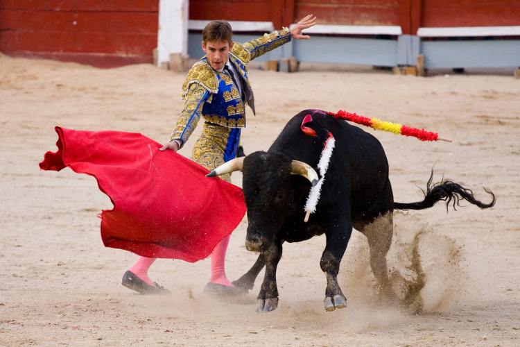 Corrida (Rove.me)