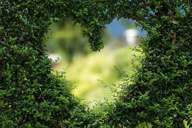 Oroscopo: amore alle stelle per questi 4 segni