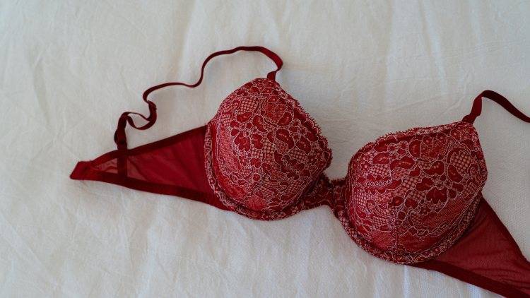 Reggiseno (Pexels)