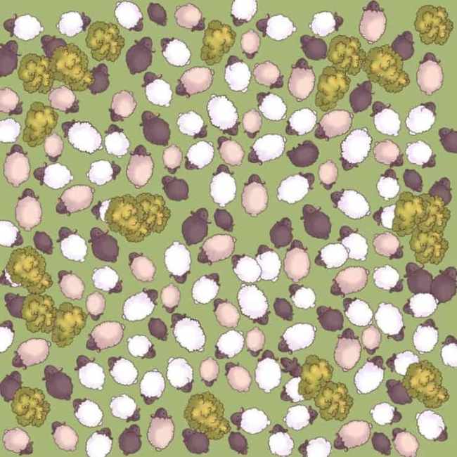 Rompicapo: Tutti sbagliano e tu, sei intelligente? Prova