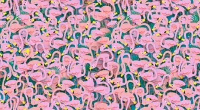 Rompicapo: Vedi la ballerina? Impossibile!