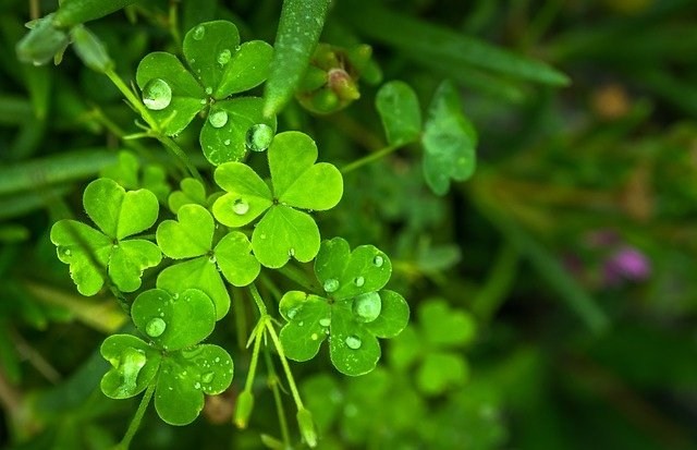 Hai successo? Dipende solamente dal tuo segno