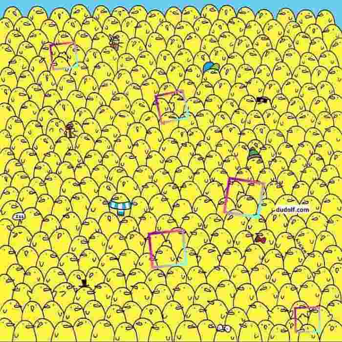 Tutti pulcini ma noi cerchiamo altro: lo vedi? 9 Test visivo: riuscite a trovare i limoni tra i vari pulcini?