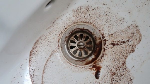Fondi di caffè: non buttateli, ecco a cosa potrebbero servire