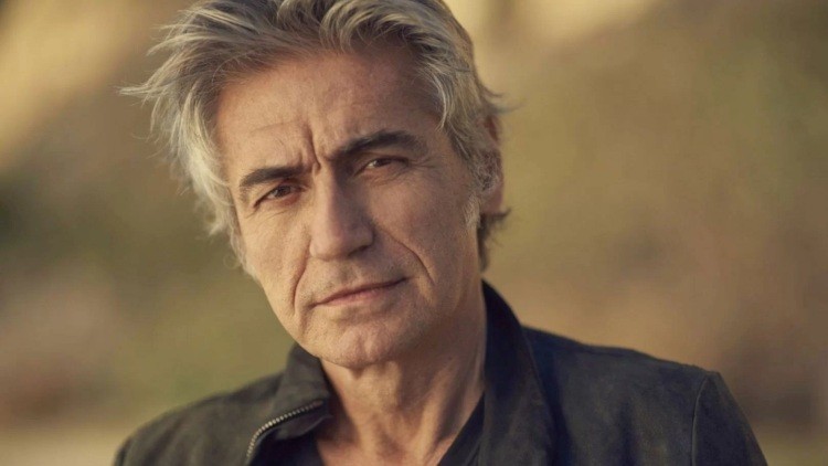 Ligabue (Artslife)