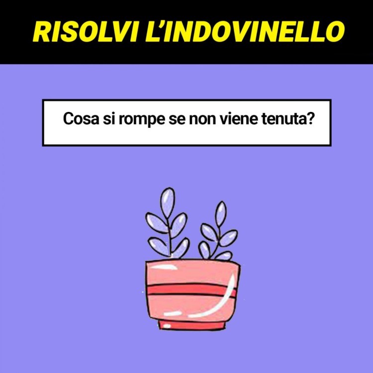 Indovinello: rispondi al quesito (Aforismi)