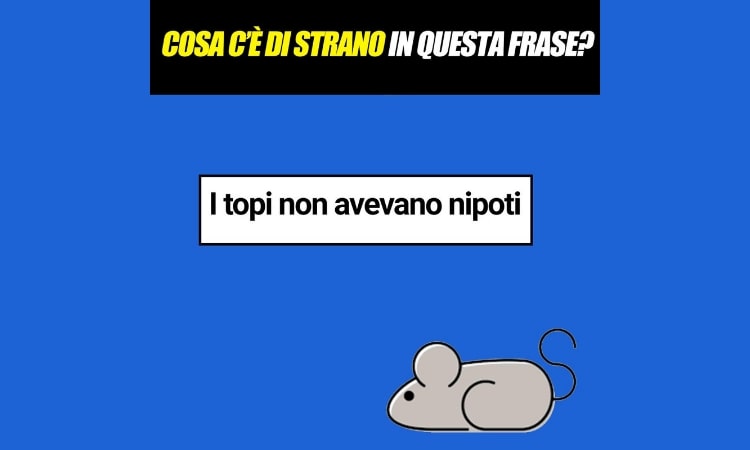 Test linguistico