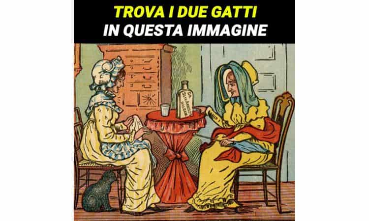 test visivo