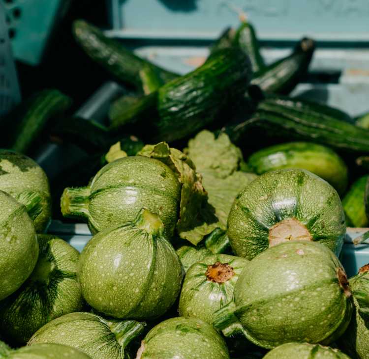 Zucchine (Pexels)