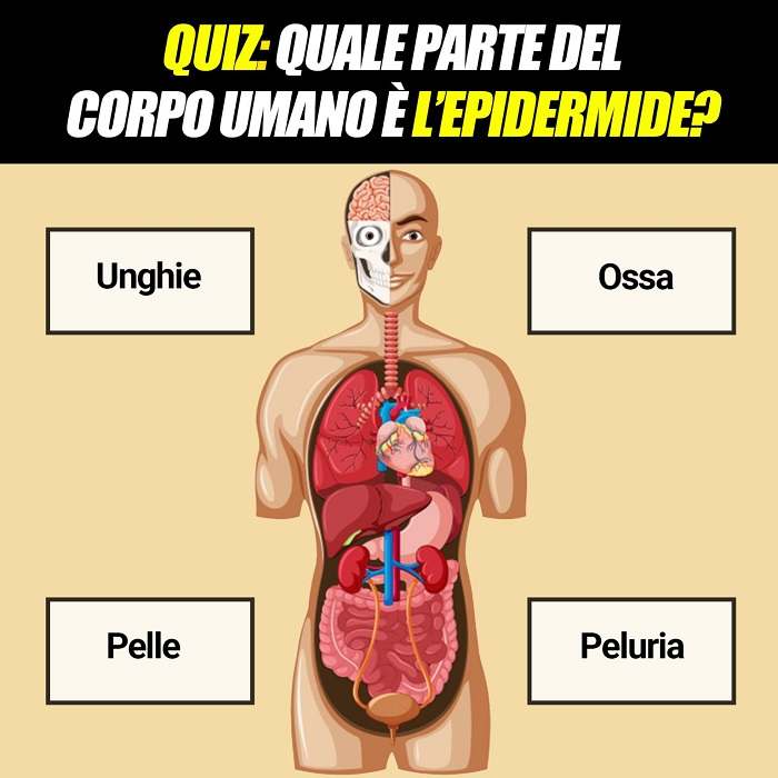 Test medico: riuscite a trovare la risposta esatta?