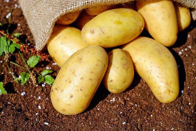 Il procedimento per creare zuppa patate e wurstel 