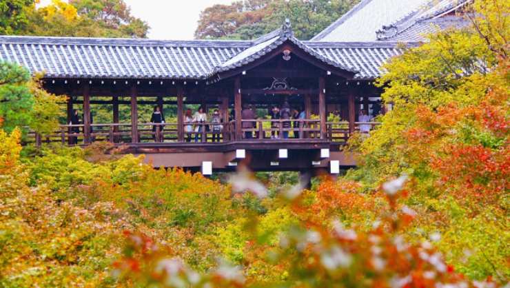 L’equinozio d’autunno è una Festa Nazionale in Giappone con la pioggia delle foglie d’acero