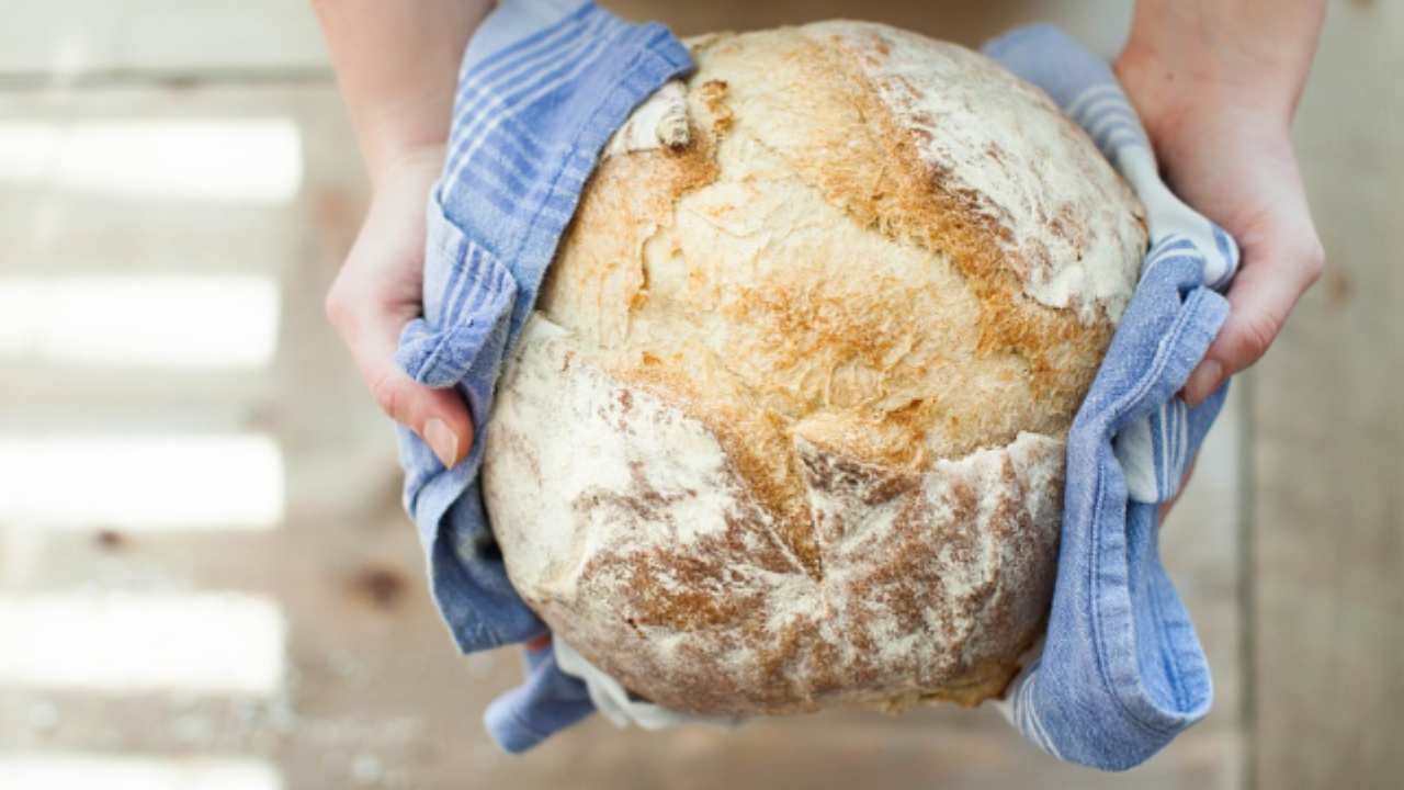 Pane_ prezzo alle stelle, cosa sta accadendo