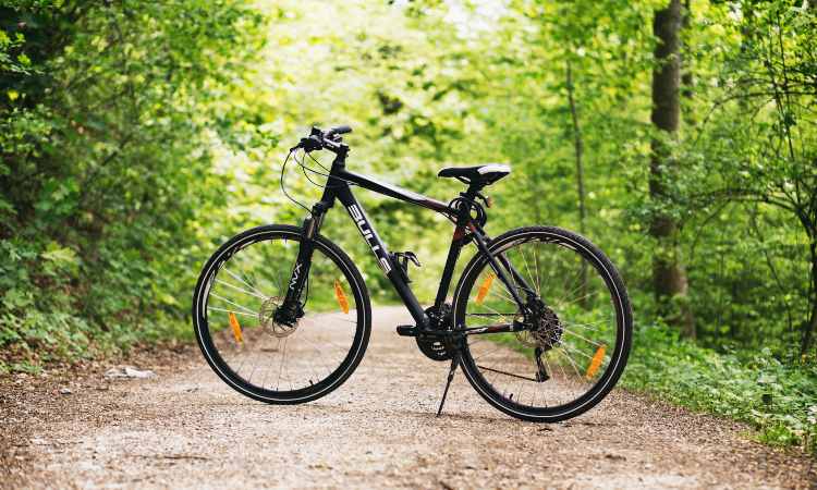 Bicicletta, alleata perfetta per mantenere la forma fisica da sogno (Pexels)