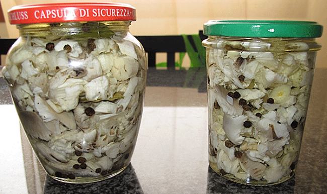 funghi porcini come conservarli