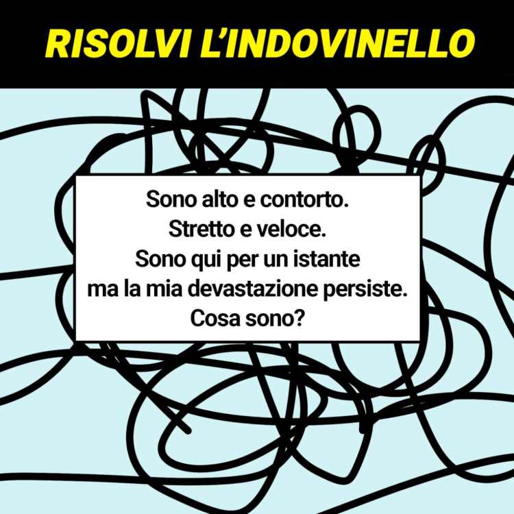 Test, risolvi l'indovinello (Aforismi)