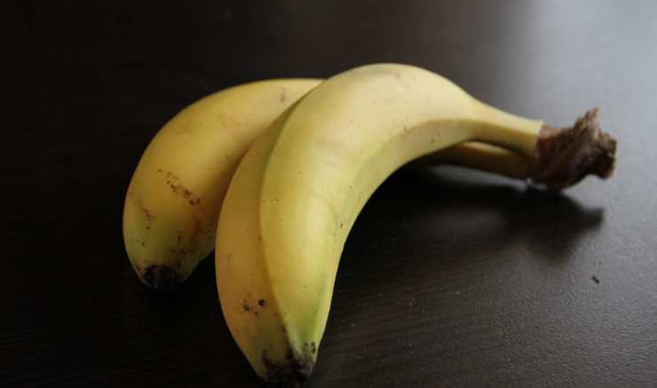 Frutta: sai dove buttare i suoi bollini? Tutti sbagliano, controlla bene! 9 Frutta_ sai dove buttare i suoi bollini_ Tutti sbagliano, controlla bene!