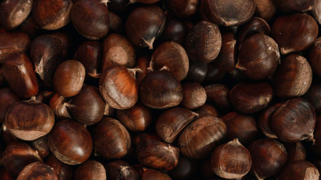 Castagne (Pexels)