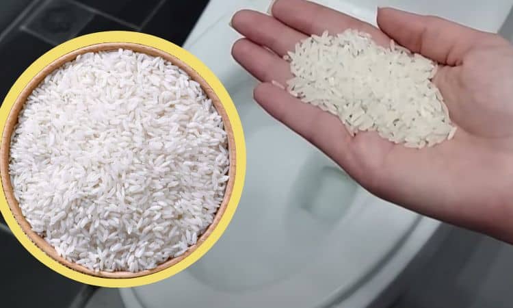 Bagno: lascia sempre una ciotola di riso, è importantissimo 9 Ciotola riso bagno rimedi