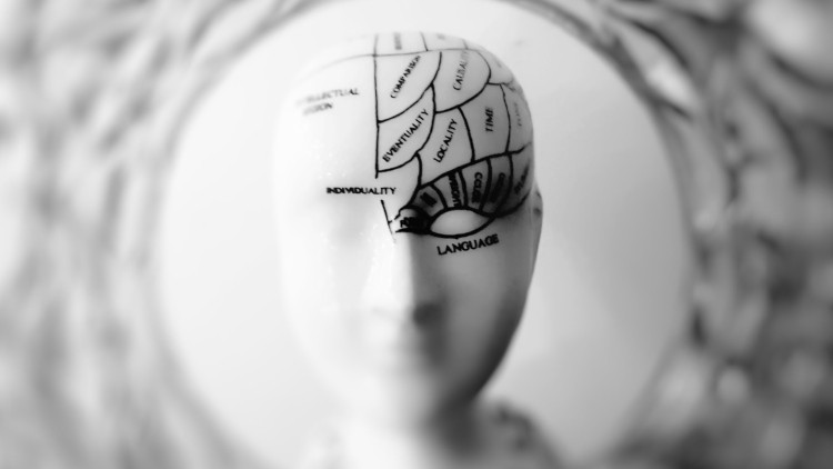 Il tuo cervello non legge queste parole? Potrebbe esserci un problema 8 Non riesci a leggere queste parole? Attenzione alla salute del cervello (Pexels)