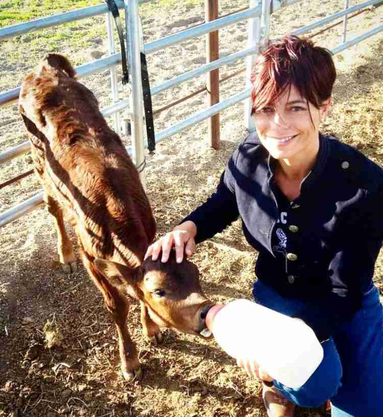 Natalia Estrada oggi alleva bestiame (Gossip)