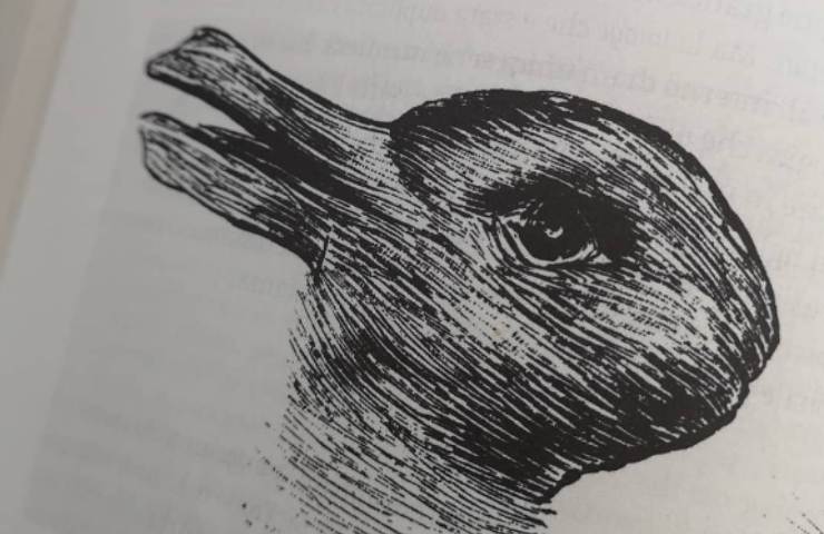 test visivo anatra coniglio personalità
