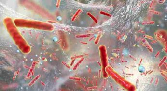 Allerta Italiana: Attenti alle docce, i water e i lavandini dei vostri bagni, ecco cosa può uscire